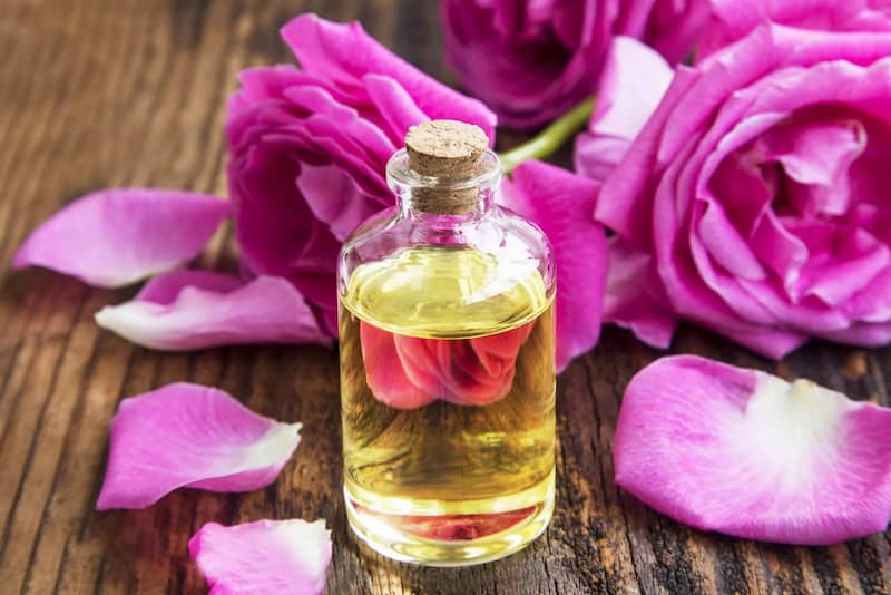 قیمت گلاب ربیع